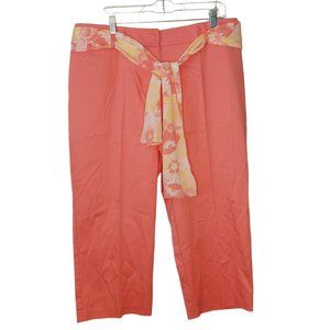 George Ankle Pants Size 16W